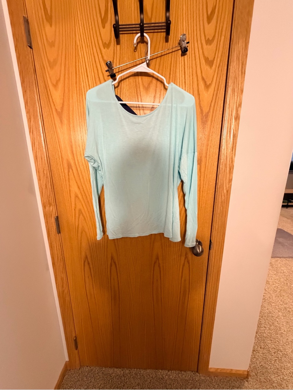 Champion Light Aqua Long Sleeve Crew Neck Top